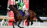 昨年ルーキー最多勝の若武者 JpnI・2着の実績馬とプロキオンSで重賞初V狙う