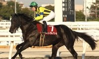 23年兵庫ジュニアグランプリ覇者イーグルノワールが抹消 今後は大井競馬に移籍予定