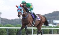 【根岸S想定馬・騎手】タガノビューティー、ドンフランキーなど24頭