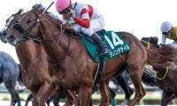 【AJCC前日オッズ】ダービー馬ダノンデサイルが2.8倍で1番人気