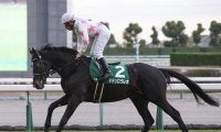 【競馬予想】AJCCはダノンデサイルで本当に鉄板か？ トリッキーな舞台が味方するベテラン２頭を侮るなかれ
