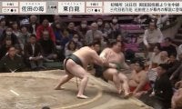 土俵下に落下した力士を“踏んでしまうハプニング”が発生「お仕置きされた」「追い討ちw」驚きの声
