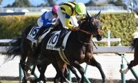 【中京5R新馬戦結果】エピファネイア産駒ラウルベアが差し切りV