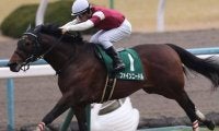 +18kgでの完勝 日本調教馬でのゴドルフィンGI初制覇につながったシルクロードS