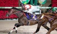 【大井・金盃枠順】ダート2600mのスタミナ比べ JBCクラシック3着馬キリンジは7枠12番
