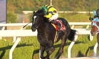 【先週のJRA抹消馬】23年兵庫ジュニアGP覇者イーグルノワール、サリオス＆サラキアときょうだいのサリエラなど