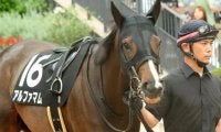 今世紀初の牝馬Vなるか 爆発力秘めた6歳馬がキング騎手とともに根岸Sに挑む