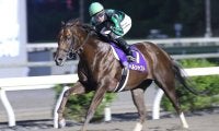 【高知競馬】ヘルシャフトを年度代表馬に選出
