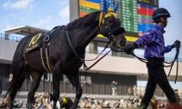 ダート1400mは勝率100％ 良血1.4億円馬が根岸Sで芝ダートW重賞制覇狙う