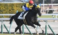 【根岸S出走馬・騎手確定】フリームファクシ＆M.デムーロ騎手、サンライズフレイム＆藤岡佑介騎手など16頭