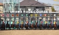 浦和競馬×ウマ娘がコラボ 2月24日から各種イベントを実施