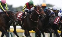 きょうだいにGI馬ズラリ 矢作芳人厩舎ゆかりの超良血馬が初陣V狙う