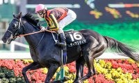平成以降初の「3歳1勝クラス」でデビューVへ 矢作厩舎が“奇策”で米G1馬の仔を送り込む