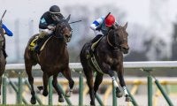 【クロッカスS】未勝利馬がオープン特別快勝の珍事…クラスペディアが逃げ切る