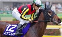 母はファンタジーS覇者ミスエルテ ジャサルディアが既走馬相手にデビュー勝ちなるか