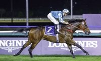 【海外競馬】ロマンチックウォリアーが8連勝…ドバイ・ジェベルハッタ