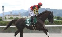 【競馬予想】根岸Ｓは「大荒れ」の予感...穴党記者が推奨する驚愕の２頭