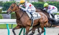 【セントポーリア賞】母は名牝ミッキークイーン ミッキーマドンナがR.キング騎手で2勝目なるか