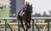 【新馬/東京5R】2億円ホース・ダノンセンチュリーがデビューV