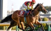 東京で東京新聞杯と京都できさらぎ賞の2重賞/今週の競馬界の見どころ