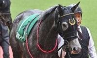 【先週のJRA抹消馬】昨年の福島牝馬S覇者コスタボニータ、22年のクラシック戦線沸かせたピースオブエイトやアスクワイルドモアなど