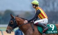コスタノヴァが根岸S制す 重賞馬を多く出すロードカナロア産駒の配合パターンとは