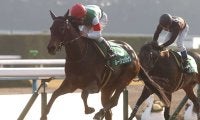 芝のきさらぎ賞を制した唯一の牝馬  ルージュバックの勝利から10年