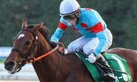 ジャパンC覇者ショウナンパンドラの半弟 連勝中の勢いに乗り東京新聞杯で重賞初V狙う