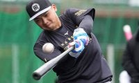 【阪神】勝負のプロ6年目　内外野でチャンスをうかがうか　期待高まる「右の和製大砲」の存在感