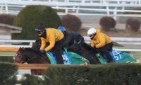 ウィリアムバローズ、フェブラリーS2週前追い切り速報/栗東トレセンニュース