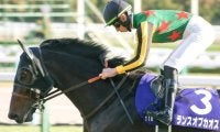 2年目の吉村誠之助騎手 3戦連続タッグのGI・3着馬できさらぎ賞V狙う