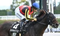【共同通信杯想定馬・騎手】カラマティアノス、ネブラディスクなど8頭