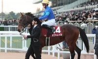 【競馬予想】東京・マイルでは「異例」の東京新聞杯　前走でＧＩ級の面々と互角の戦いを演じた伏兵に要注意