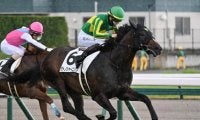 【きさらぎ賞予想】積極果敢な競馬がかえってマイナスに!? 前走結果を鵜呑みにしづらい実績馬とは