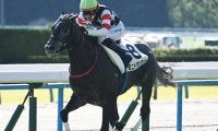 【きさらぎ賞予想】今年も10頭立てと少頭数 先行激化は考えにくく瞬発力がカギ