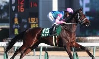 【競馬予想】きさらぎ賞は少頭数でも波乱含み...人気の盲点となっている２頭で好配当を狙え