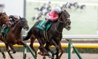 東京新聞杯は内枠＆先行馬重視