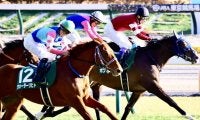 【東京新聞杯】ウォーターリヒトが重賞初制覇…武豊ボンドガールは2着