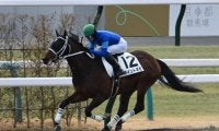 【京都4R新馬戦結果】ファッショニスタの半弟ポイントネモがデビューV