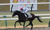 【京都3R】ドウデュース半弟のエンダードラゴンが馬なり6馬身差で初勝利