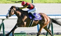意外!? ルメール騎手の京都記念参戦は15年ぶり 二冠牝馬を勝利に導くか