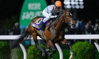 【船橋・クイーン賞注目馬】オーサムリザルトら好メンバー集う 今年のダート牝馬路線を占う一戦