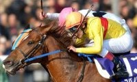 コパノリッキーが史上3頭目 最低人気で平地GIを制した馬たち