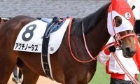 矢作厩舎ゆかりの良血馬 春の大舞台目指して負けられない2戦目