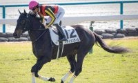 【今日の注目ポイント】東京で3歳牝馬のクイーンCと小倉で小倉ジャンプS