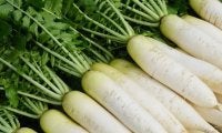 大根の驚くべき効果効能