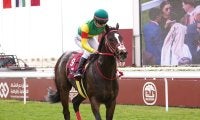 【海外競馬】団野騎乗エコロジークは着外…アミールスウォードフェスティバル