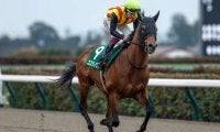 ダートのマイル王決定戦フェブラリーSなど4重賞/今週の競馬界の見どころ