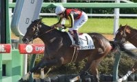 【大井・雲取賞枠順】連勝中のジャナドリアは4枠4番、ハイセイコー記念6馬身差Vのスマイルマンボは5枠5番