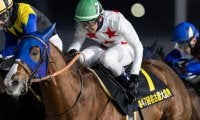 史上初のJRAダートGIきょうだい制覇へ 重賞2勝のドレフォン産駒がフェブラリーSで偉業達成狙う